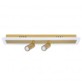 Спот Arte Lamp Tommy A2607PL-22GO