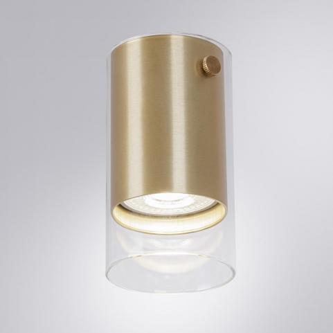 Накладной светильник Arte Lamp Lazio  A5365PL-1SG