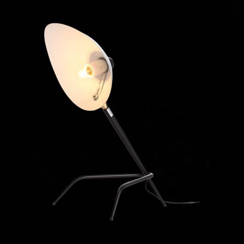 ST Luce Настольный светильник ST-Luce Spruzzo SL305.404.01