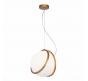 ST Luce Подвесной светильник ST-Luce Acerra SL1181.353.01